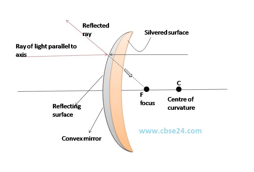 Rules for obtaining image formed by convex mirror class 10 cbse24
