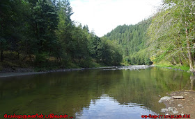 Oregon Wilson River