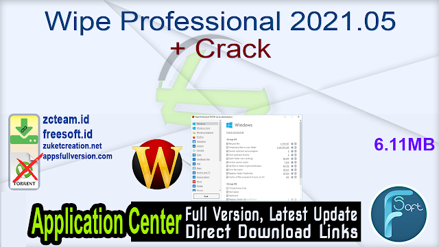 Wipe Professional 2021.05 + Crack