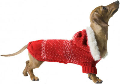 abrigo capucha perros Benetton