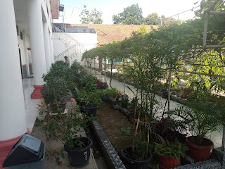 IMG 20210527 144534 603