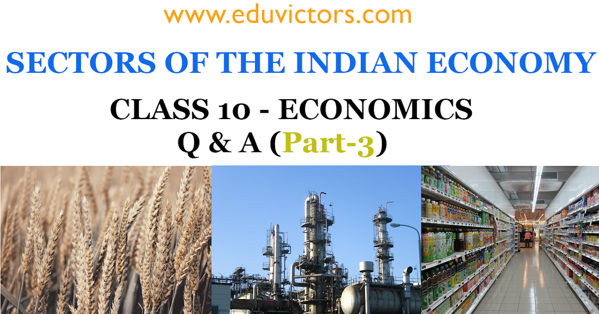 CBSE Papers, Questions, Answers, MCQ Class 10 Economics Sectors of Indian Economy Q & A