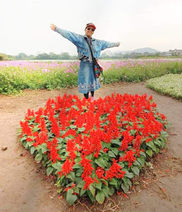 2020 桃園花彩節-楊梅場-「花香蜜意 楊梅好哞」