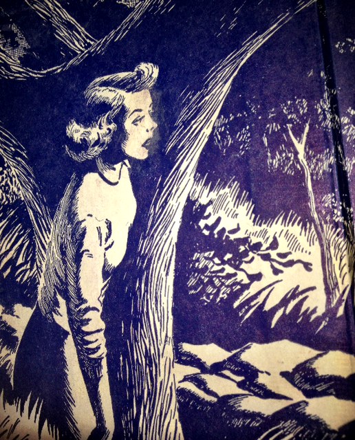 Nancy Drew Books - My real life Nancy Drew adventure…