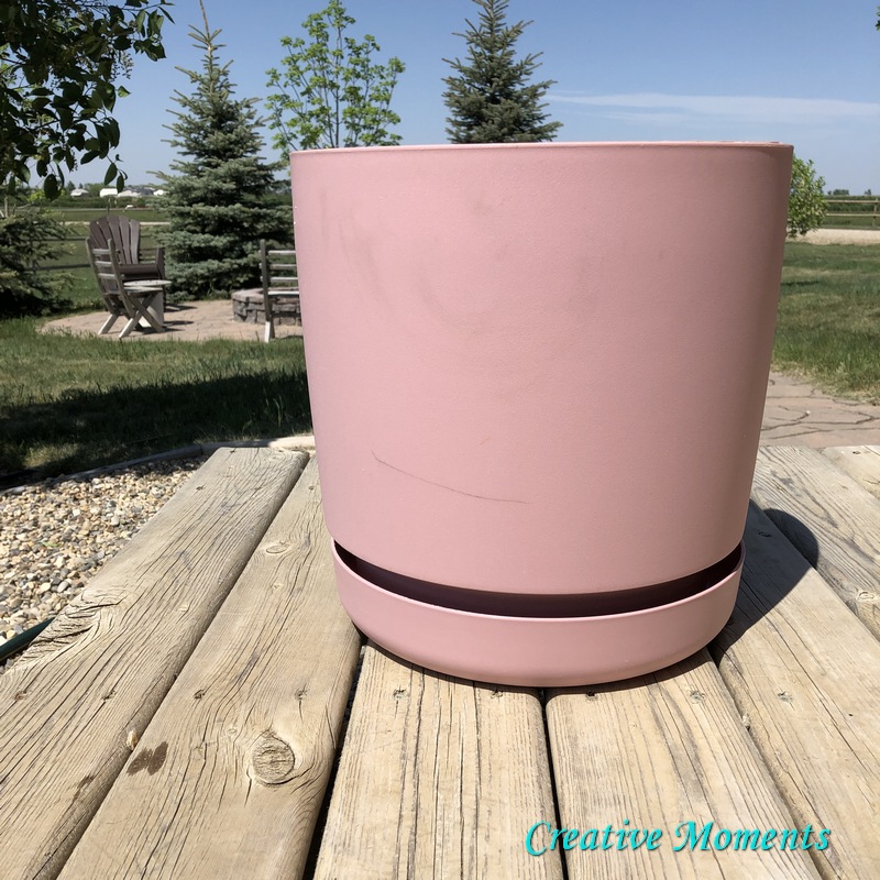 Plastic Plant Pots Spray Painted & Updated