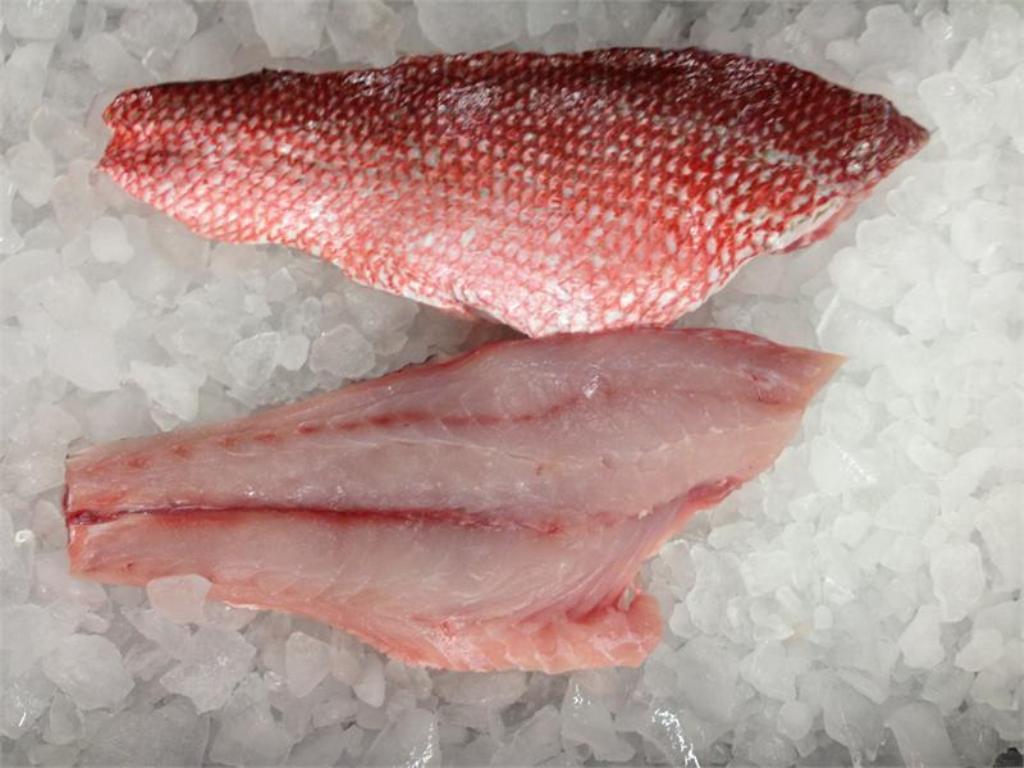 Red Snapper Benefits for Your Health Frozen Red Snapper, Red Snapper