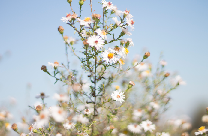 lovely lyon fotografía francia