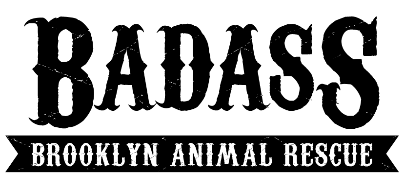 Badass Brooklyn Animal Rescue