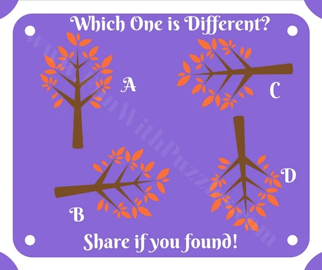 Mind twisting puzzle to find odd one out
