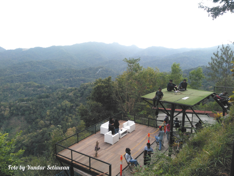 Obyek Wisata Alam Kebun Teh Nglinggo Samigaluh Kulon Progo Obyek Wisata Alam Kebun Teh Nglinggo Samigaluh Kulon Progo