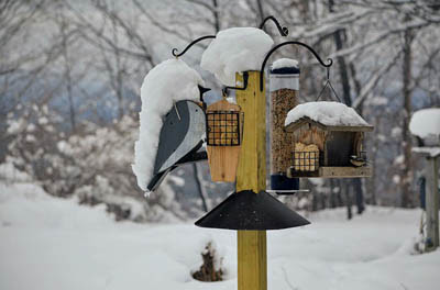 Photo of snow-covered bird feeders. Daniela Viskova from Pixaby Photo of snow-covered bird feeders. Daniela Viskova from Pixaby