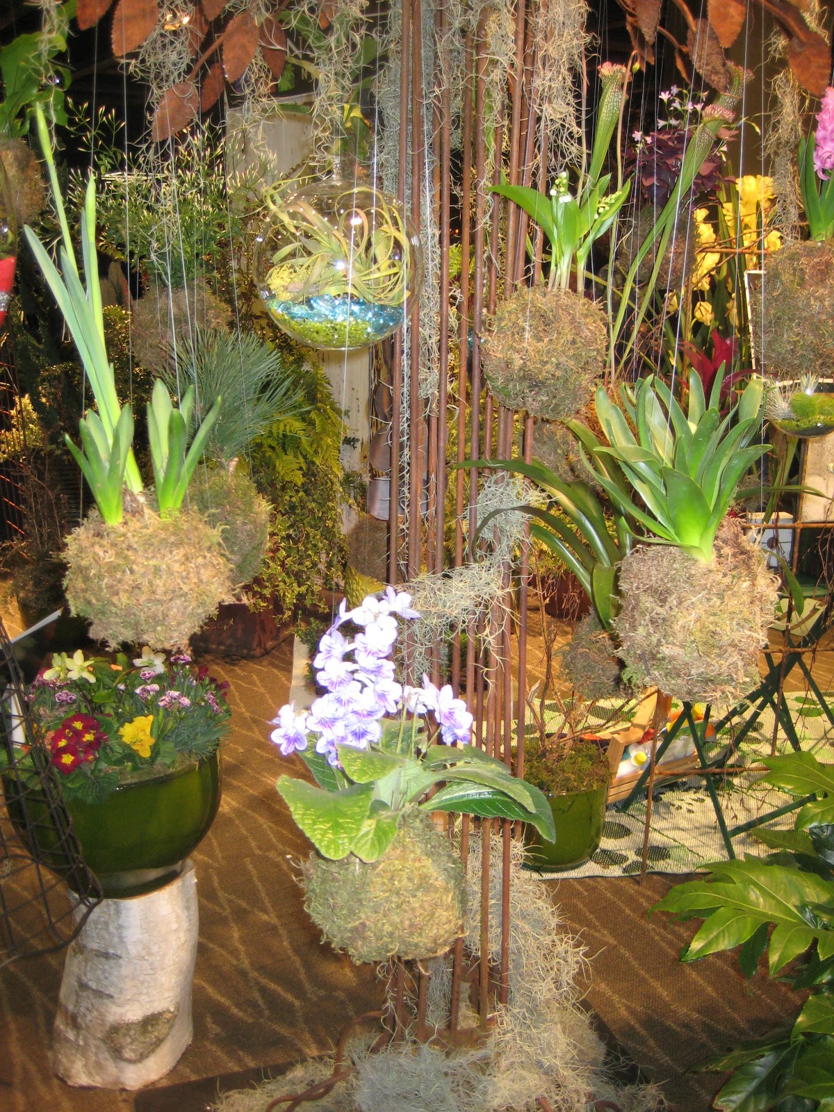 Susan's In the Garden Flower Show reports String gardens