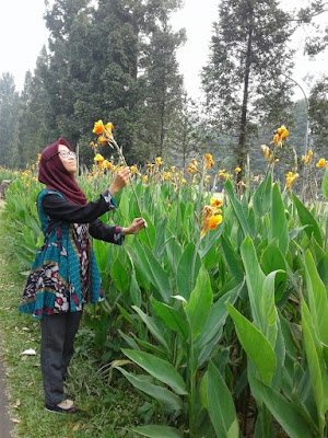 fasilitas kebun raya bogor tiket masuk kebun raya bogor koleksi kebun raya bogor tiket masuk kebun raya bogor 2018 kebun raya bogor dari stasiun bogor makalah kebun raya bogor tanaman yang dilindungi di kebun raya bogor suasana kebun raya bogor