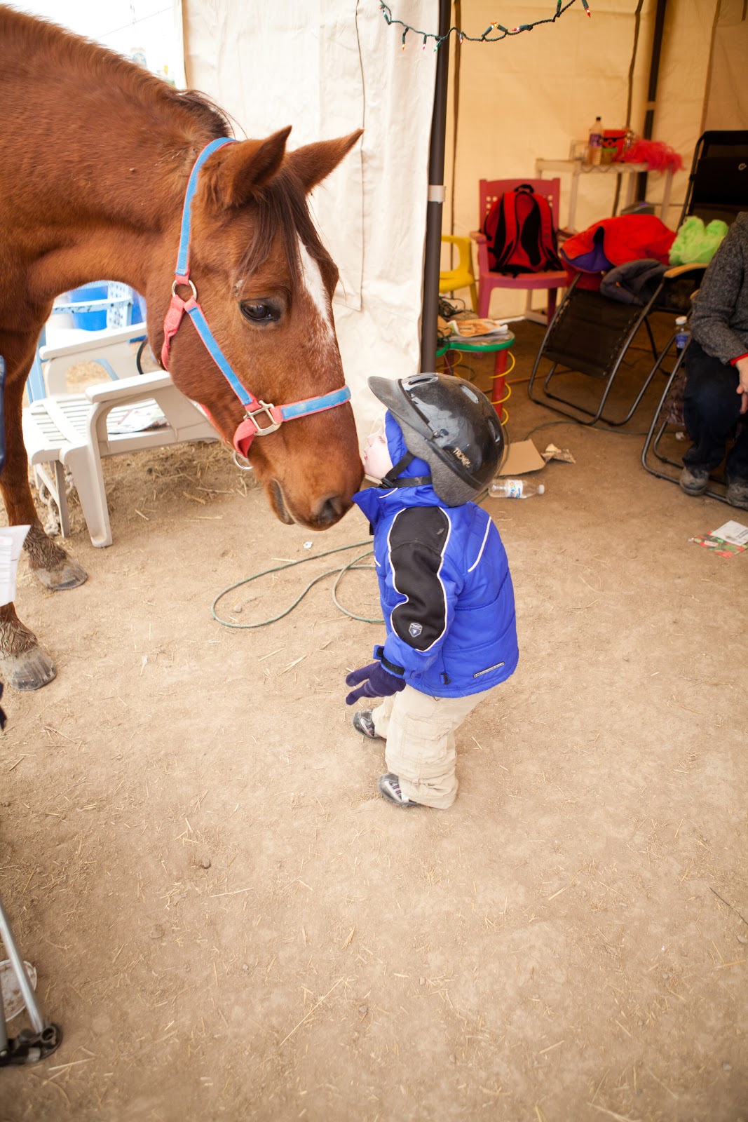 Autism: Understanding The Puzzle: Horse Therapy Coming Soon to Bountiful
