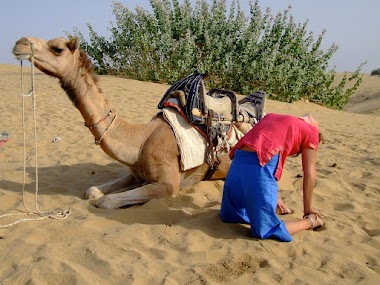 What is The Camel Pose ( Ushtra asana) ?