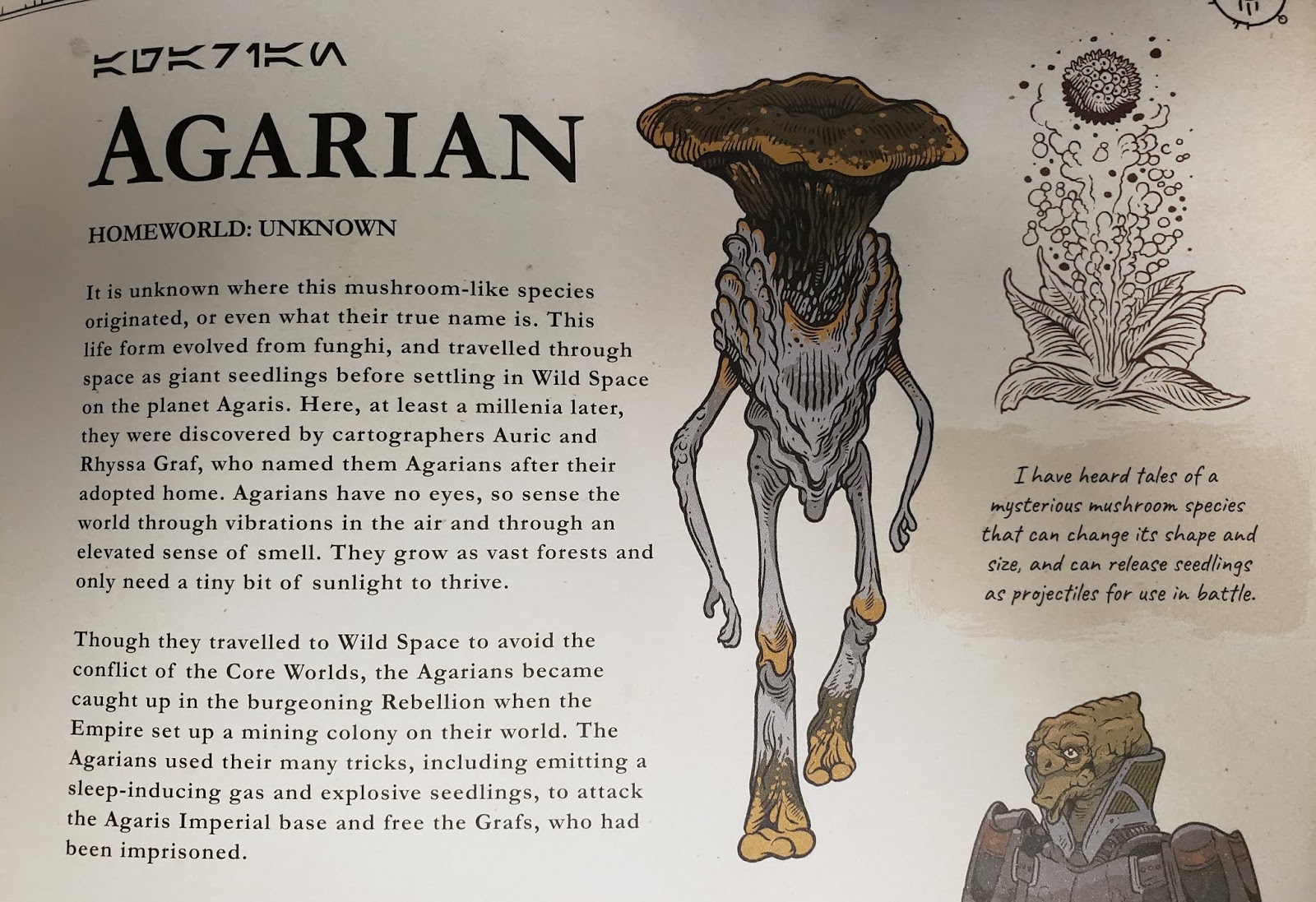 Alien Archive A Guide To The Species Of The Galaxy By Katrina Pallant And Natalie Clubb