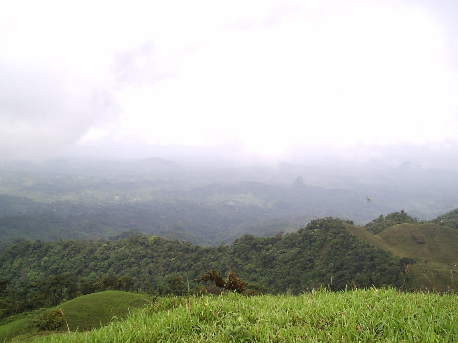 Montañismo en Panama: Cerro Congal