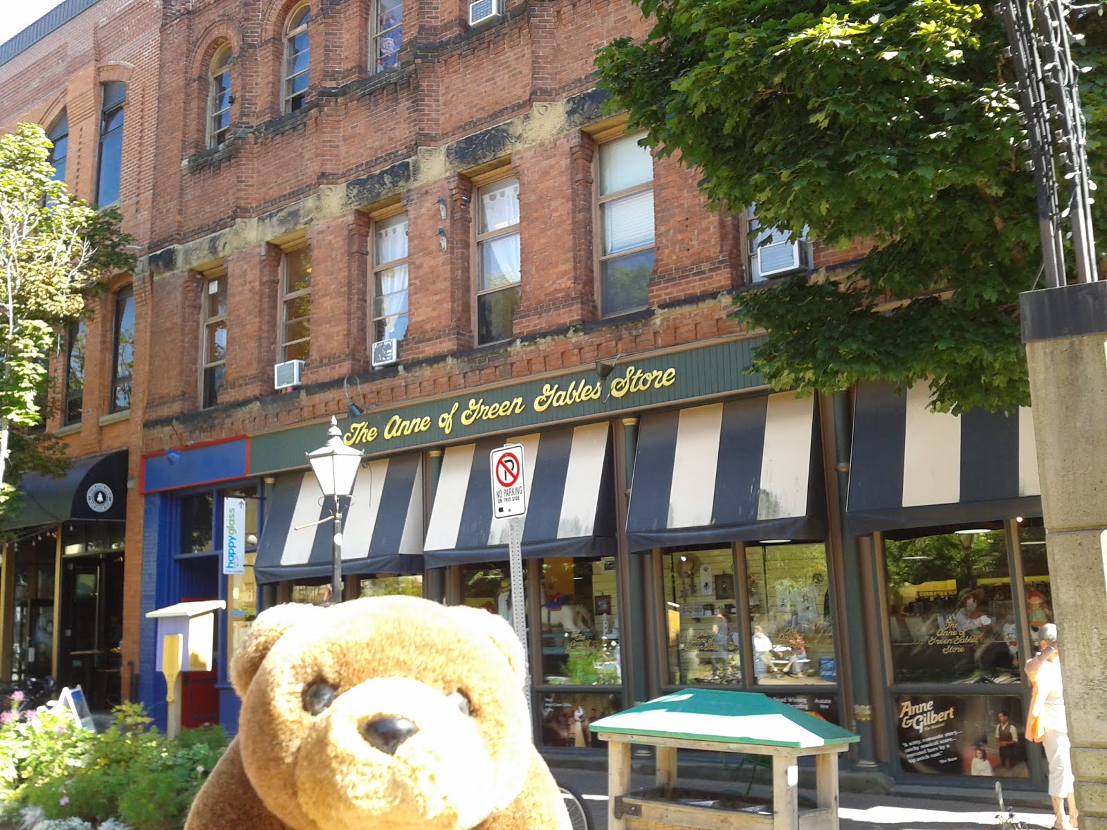 Teddy Bear in Charlottetown