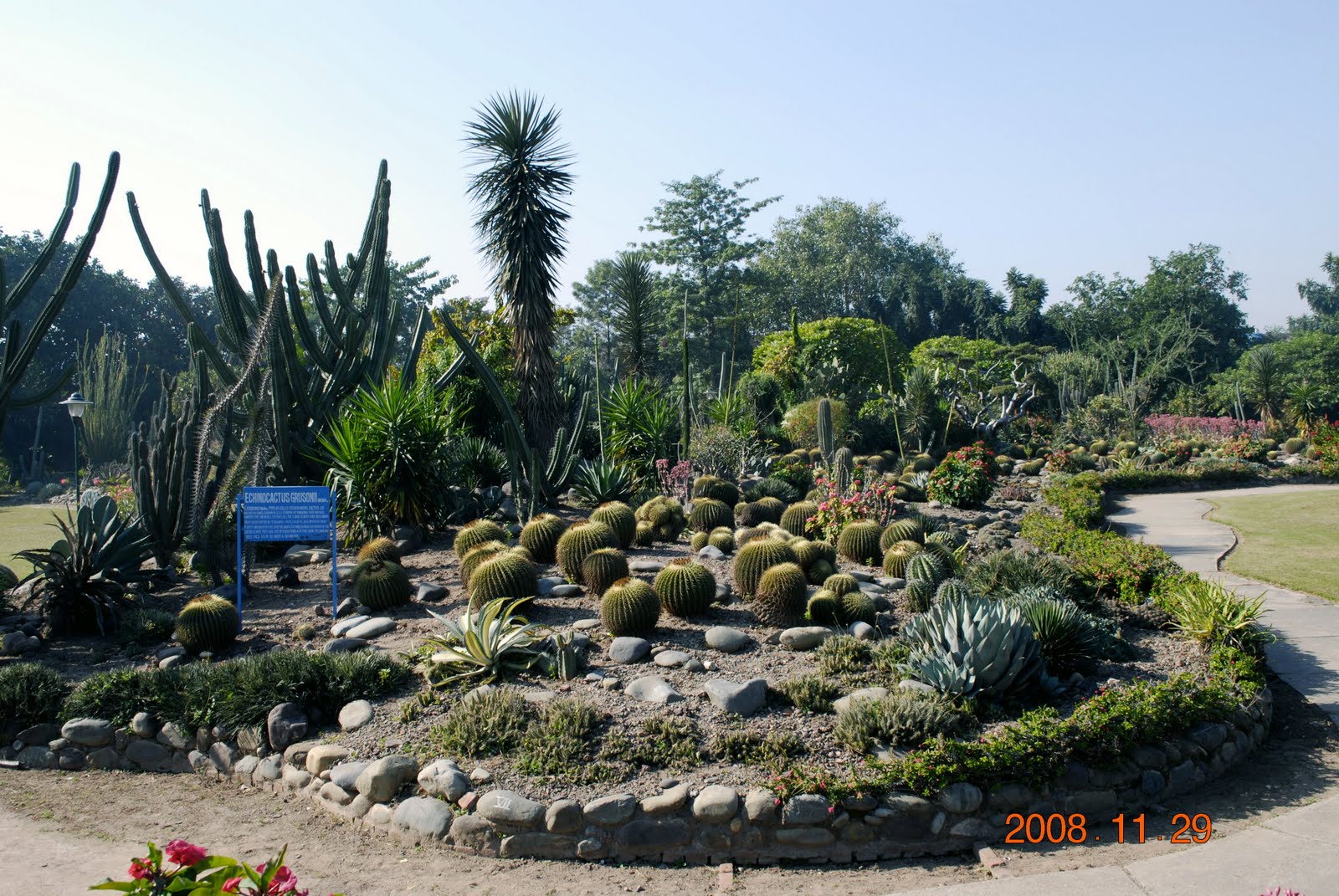 Tours and Travels Botanical Garden In Chandigarh,Gardens In India
