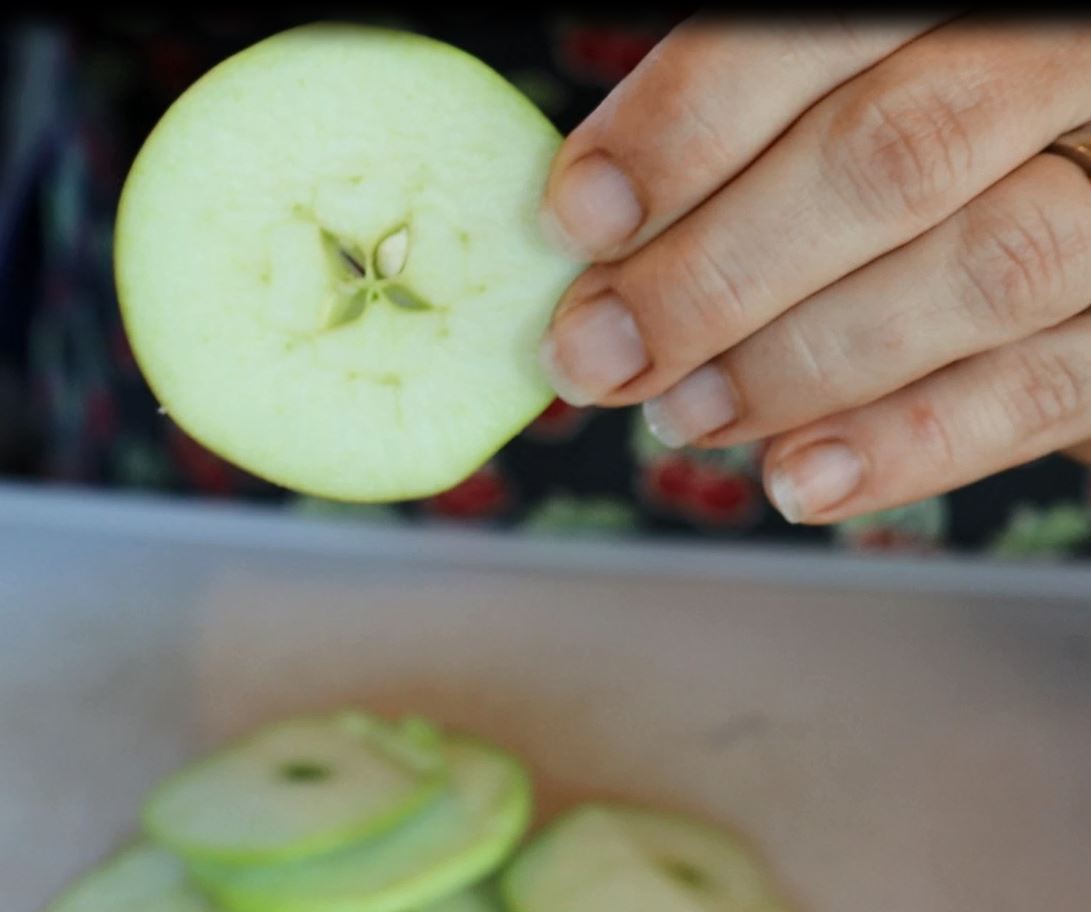 How to Dehydrate Apples No Special Tools Required! (with video