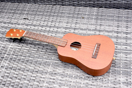 Dreadnought ukulele deals