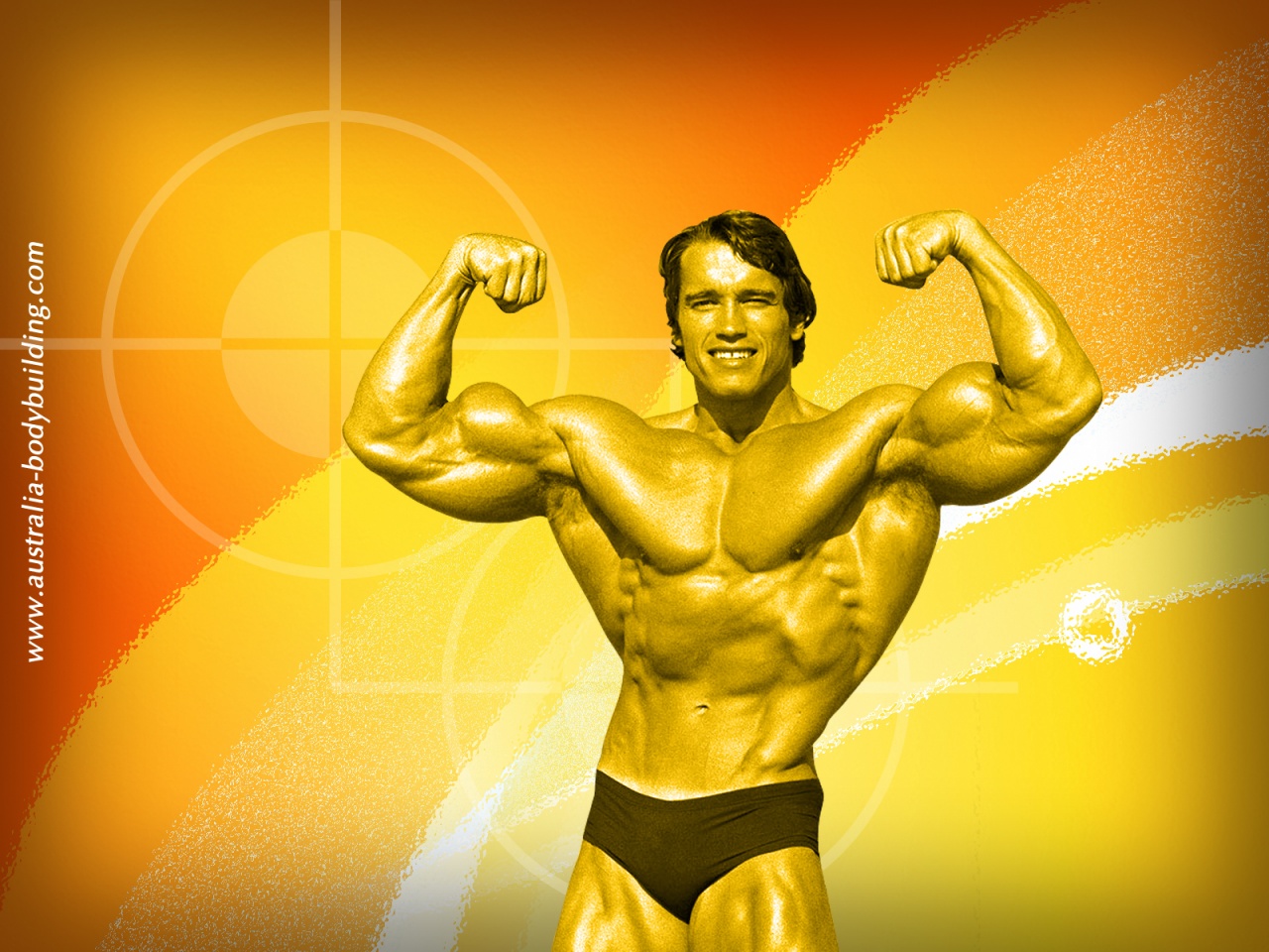 http://1.bp.blogspot.com/-gVqAQIEvXfc/Th0aEzFg2CI/AAAAAAAAAAY/s5JxFk2yMZ8/s1600/arnold_schwarzenegger_wallpapers_tellow.jpg