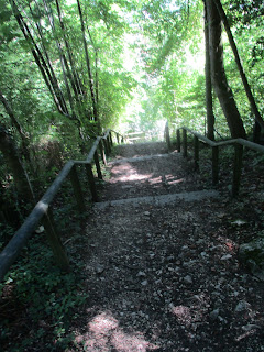 Peter S Laufseite Trailtraining In Blaubeuren Am 29 03 2019
