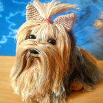 patron gratis perro amigurumi | free amigurumi pattern dog