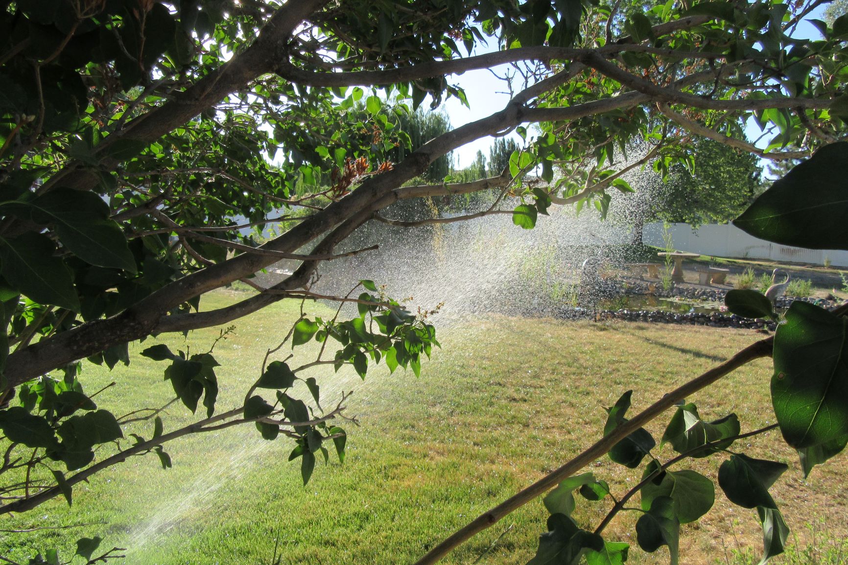 Mother Nature's Montrose Garden Creating Your Coloradofriendly Garden
