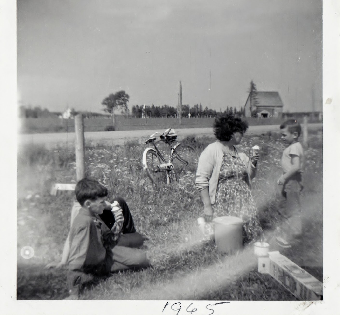History of Alma & Lauretta Alma School Picnic Summer 1965