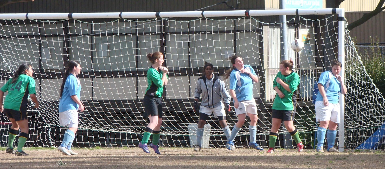 Holroyd Rangers Soccer Club Inc.: Round 16 match results