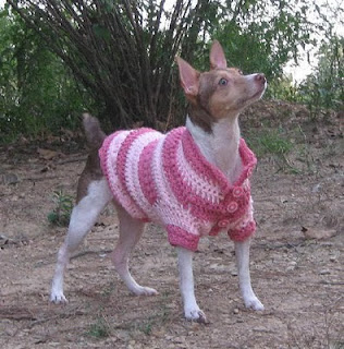 Rainbow Dog Sweater Knitting Pattern from Caron Yarn