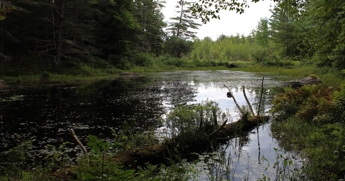 Walking Man 24 7 Moose Mountain(Wilcox Lake Wild ForestAdirondacks)