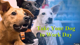 National Take Your Dog to Work Day HD Pictures, Wallpapers