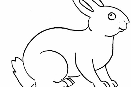 10 Sketsa Gambar Kelinci Hitam Putih Untuk Anak TK dan PAUD