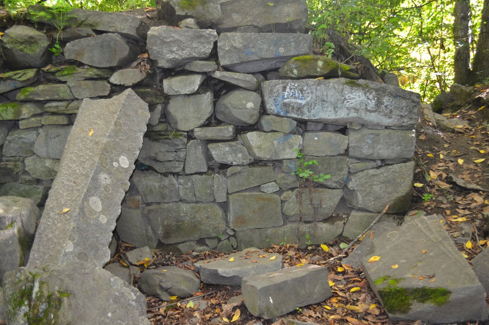 Journey to the Past Visiting an Ancestor's New Hampshire Cellar Hole
