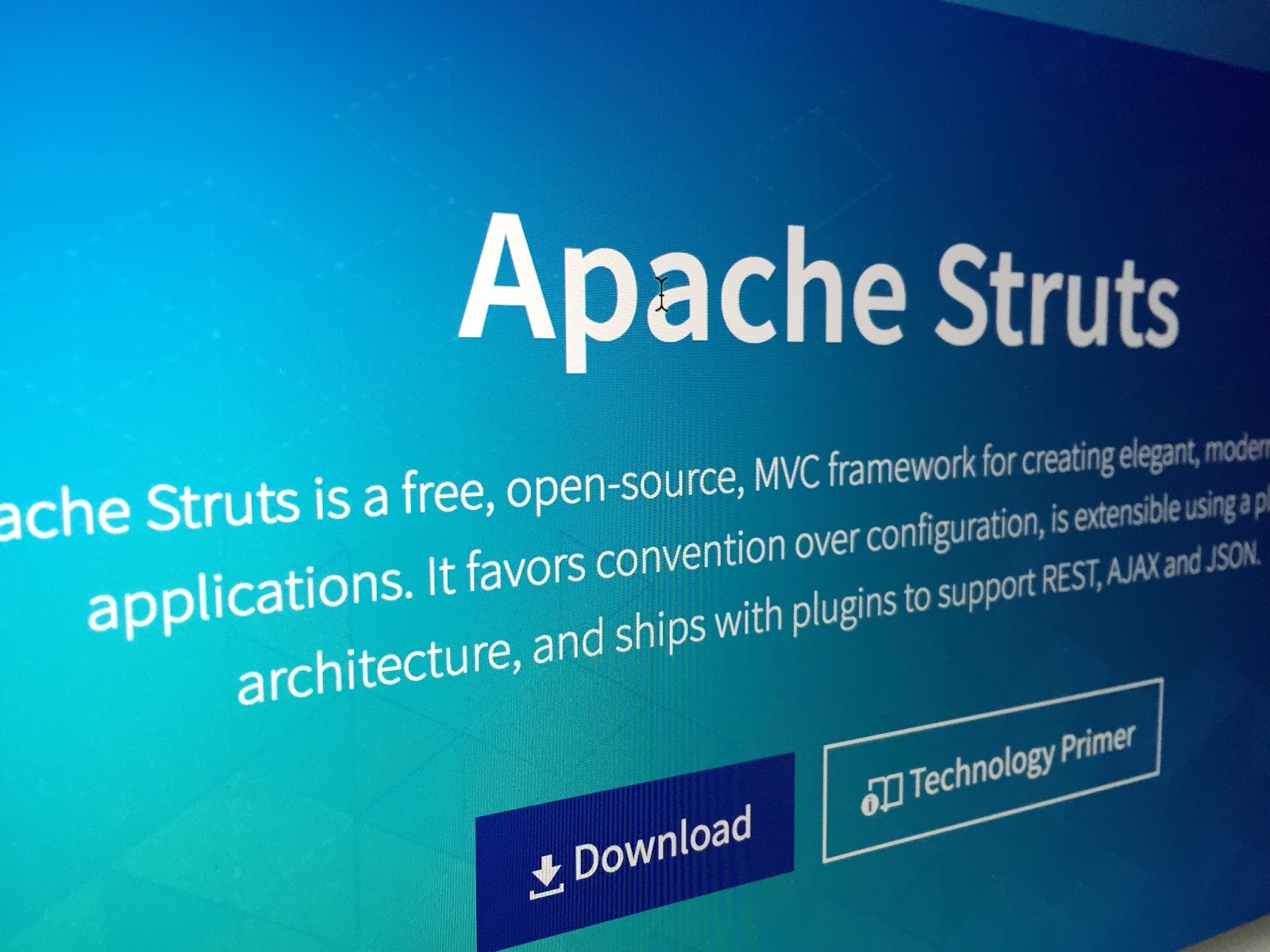 Apache Struts Vulnerability CVE202017530 Destroy Squad.