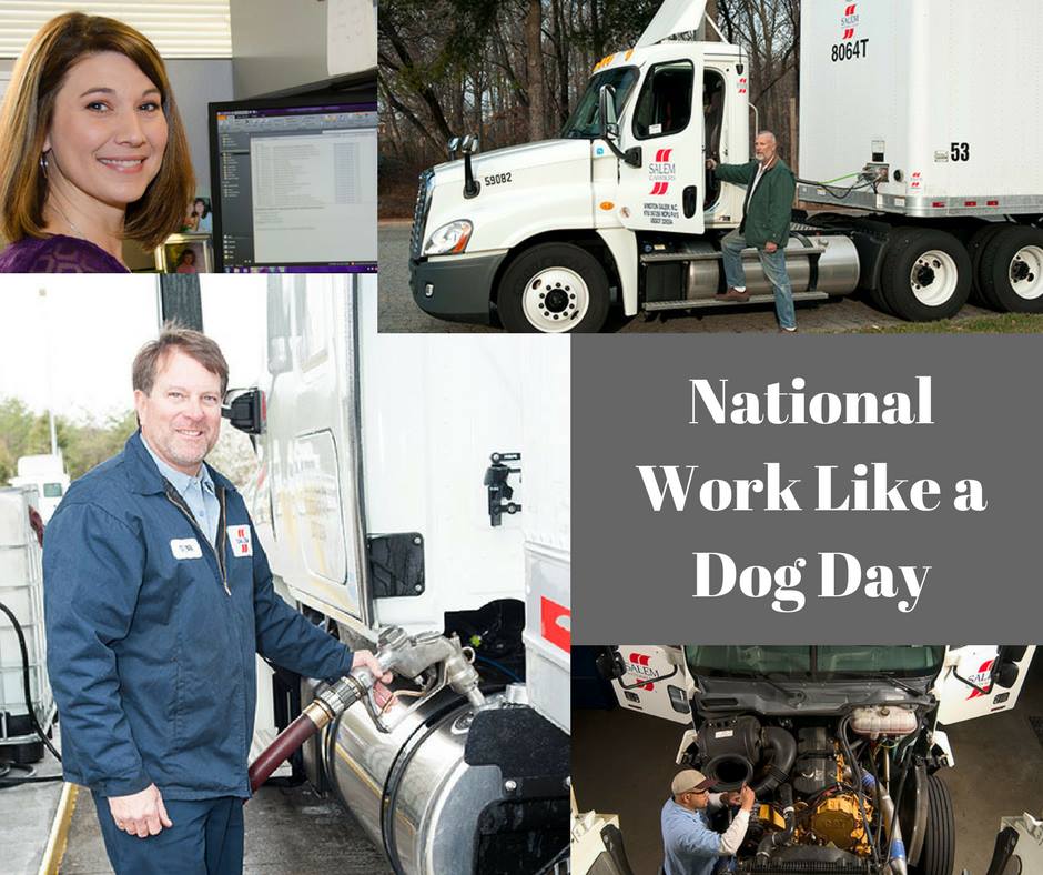 Work Like a Dog Day Work Like a Dog Day