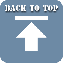 back to top