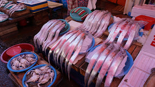 DSC08411.JPG