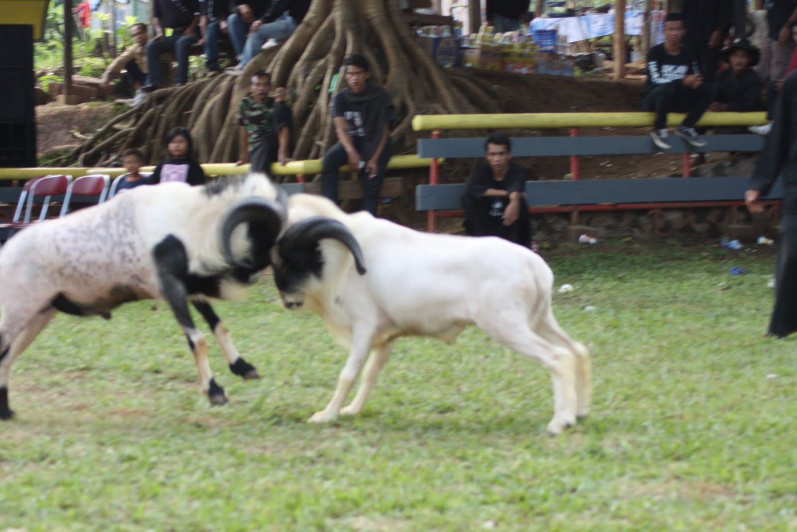 Konsep Politik Devide Et Impera Kolonial Belanda Hikmah 313