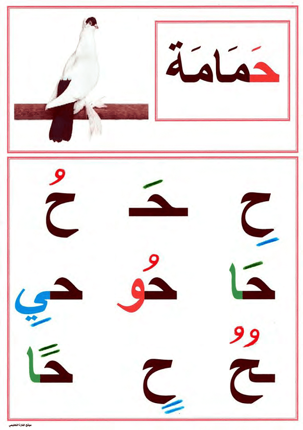 معلقات تزيين القسم صور الحروف الابجدية العربية للسنة اولى ابتدائي PDF