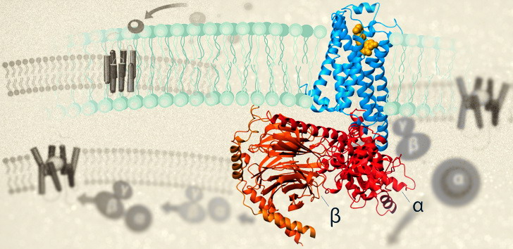 Premio Nobel de Química