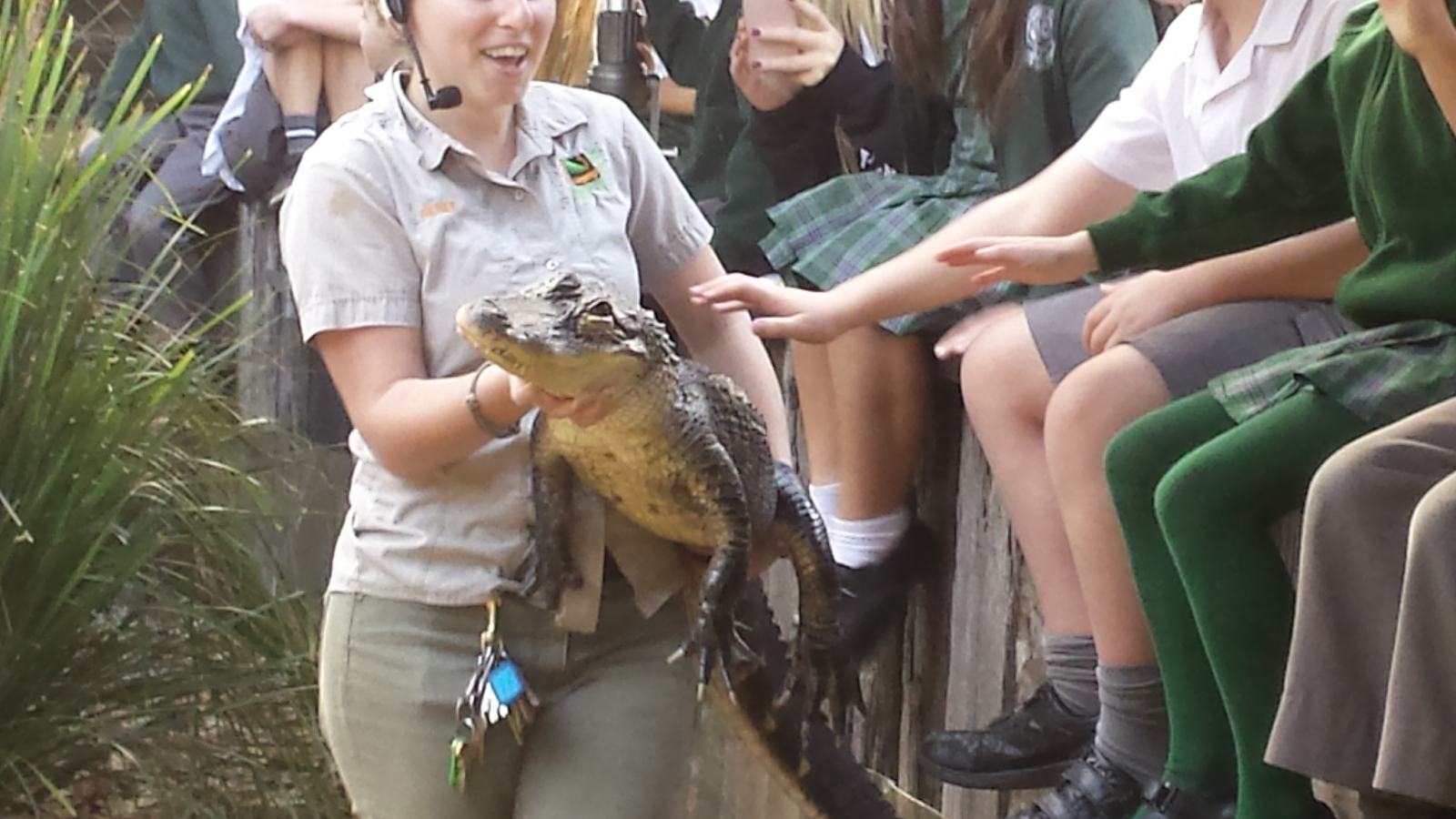 Belair Stage 1 Gosford Reptile Park