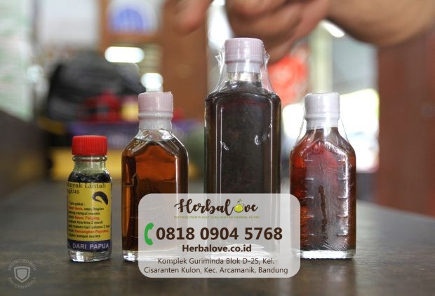 supplier minyak lintah Banjar
