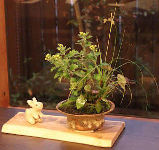 耳付きの板に載せられた黄土色の浅鉢の山野草盆栽と信楽焼のウサギの人形
