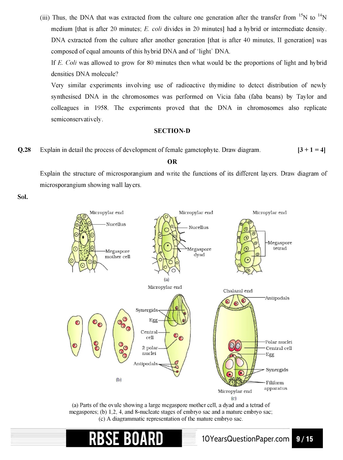 Rajasthan board 2017 class 12th Biology question paper and solution RBSE class 12th 2017 Biology question paper with solution