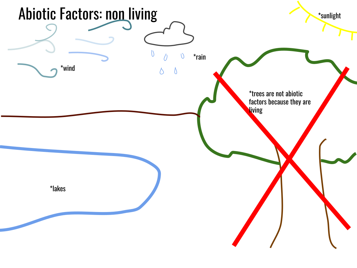 Abiotic Factors Medical Resume