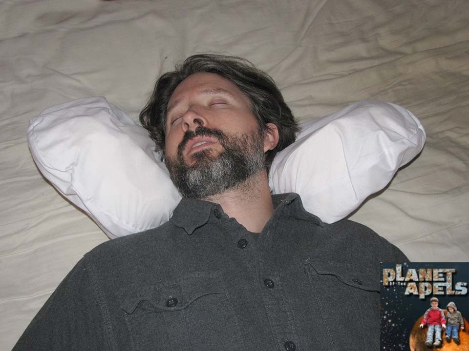 headright pillow