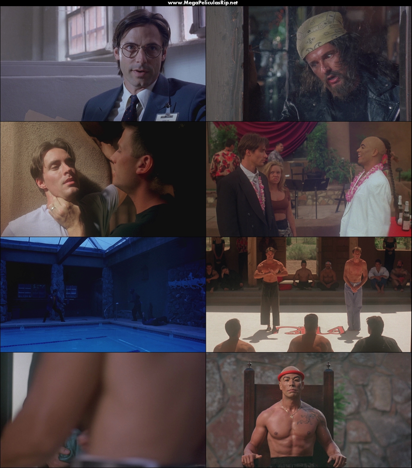 Kickboxer 4 1080p Latino